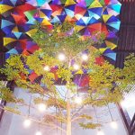 Trà Sữa Ocha House Quy Nhơn Hương Vị Trà Sữa Nhật Bản Cực Chất Cực Ngon
