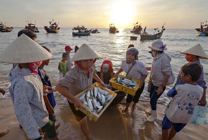 Những bí ẩn về đảo ngọc Cù Lao Xanh thật sự có “ngọc” hay không?