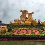 Quảng Trường Quy Nhơn – Check in tết cùng “Heo vàng”