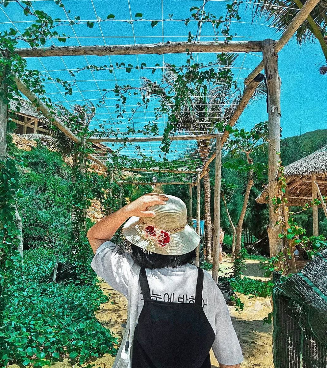 Hành trình phiêu lưu du lịch Quy Nhơn từ Sài Gòn bằng xe máy