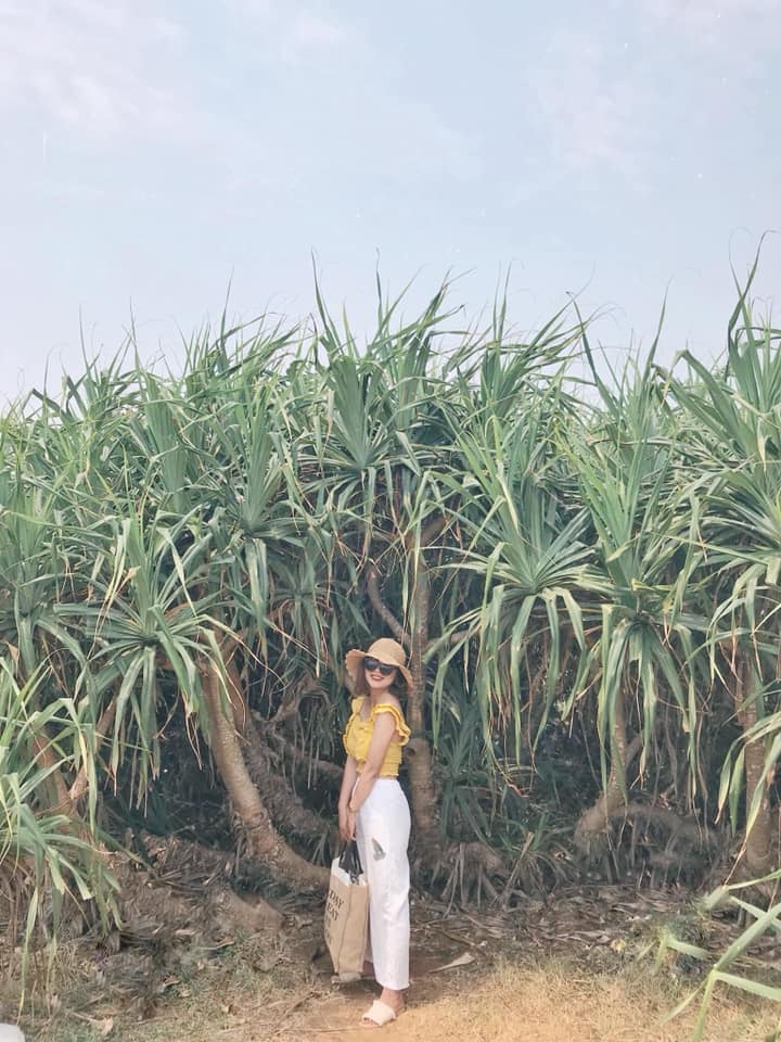 Hot girl review du lịch Quy Nhơn 5 ngày 4 đêm siêu hấp dẫn
