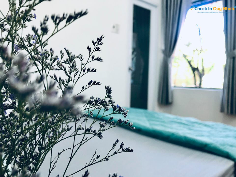 May homestay Quy Nhơn